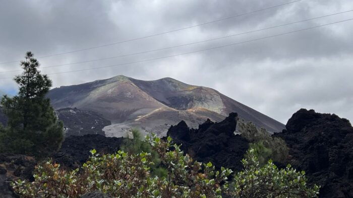 La Palma: Tacande Volcanic Landscape Tour - Customer Feedback and Ratings