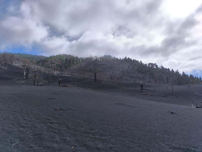 La Palma: Tajogaite Volcano Guided Hike ( ES-ED ) - FAQ