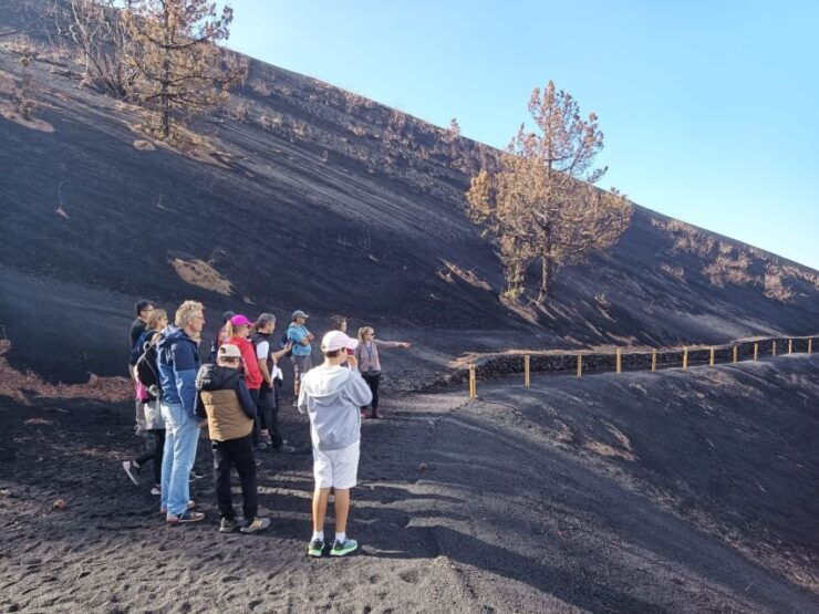 La Palma: Tajogaite Volcano Guided Hike - Activity Details
