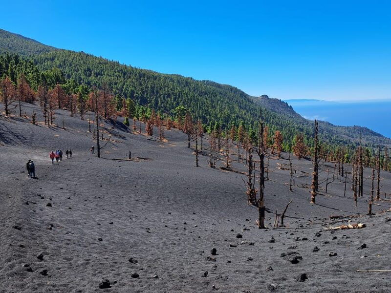 La Palma: Tajogaite Volcano Guided Trek - Good To Know
