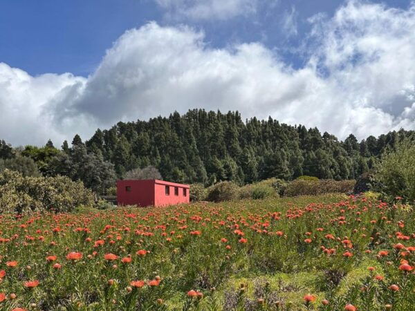 La Palma : Tour of an Ecological Farm W/ Animals & Tasting - Frequently Asked Questions