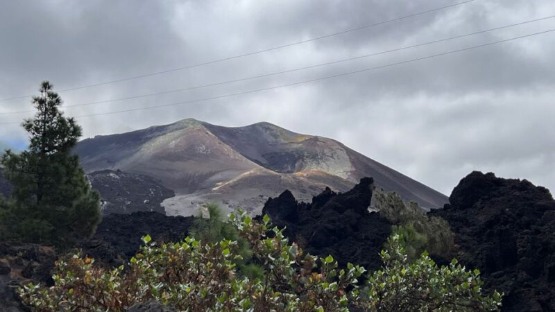 La Palma Tour: Santa Cruz, Cumbrecita and Volcanic Landscape - Who Should Book This Tour?