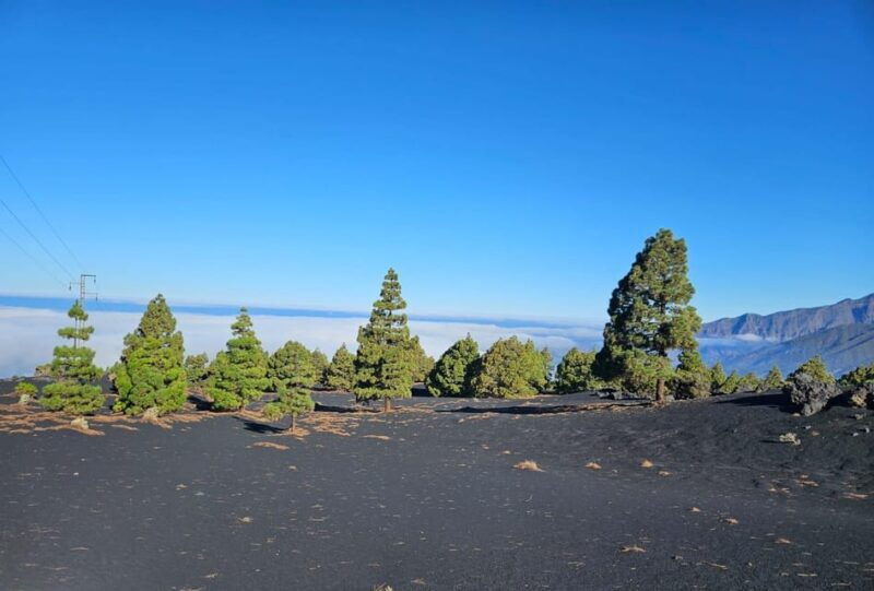 La Palma: Tour to the New Tajogaite Volcano 360º. - Good To Know