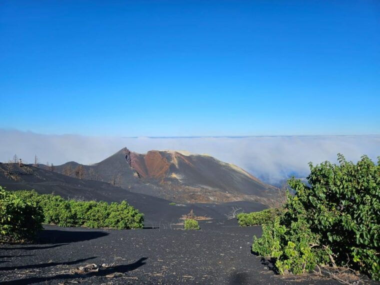 La Palma: Tour to the New Tajogaite Volcano 360º. - Monitoring the Eruptive Process