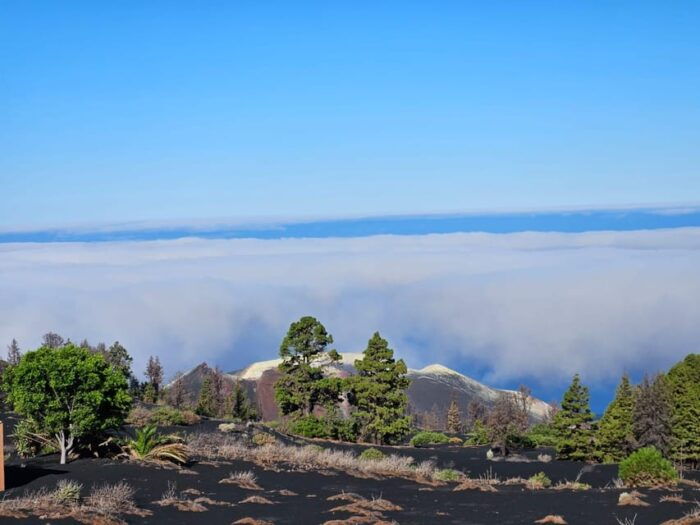 La Palma: Tour to the New Tajogaite Volcano 360º. - Preparing for the Hike