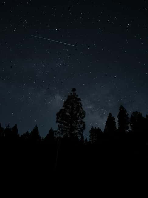 La Palma: VIP Night Sky Tour With Your Own Telescope - Good To Know