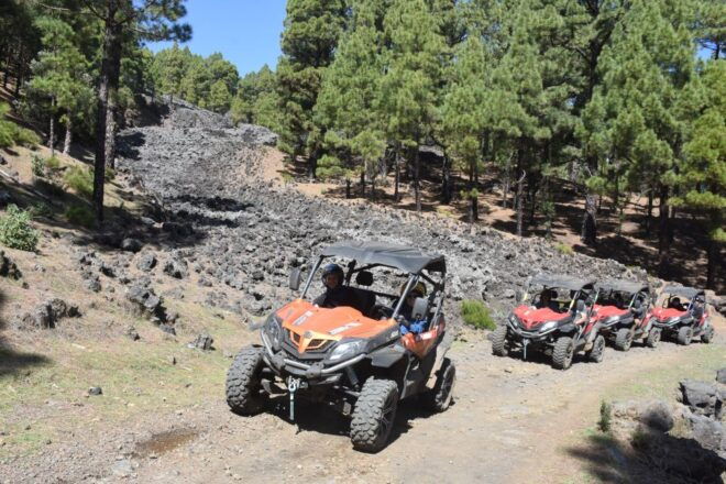 La Palma: Volcano Route Buggy Tour - Common Questions
