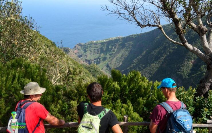 La Palma: Zarza Archaeological Park Guided Trek - Pricing and Duration
