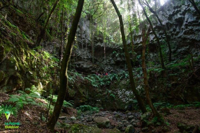 La Palma: Zarza Archaeological Park Guided Trek - Customer Reviews