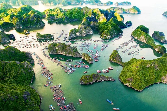 La Pandora 1 Day Cruise( Ha Long,Lan Ha Bay and Cat Ba Island) - Activities and Experiences