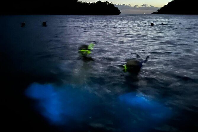 La Parguera Bio Bay Boat Ride and Swimming w/ San Juan Transport - Final Verdict: Is It Worth It?