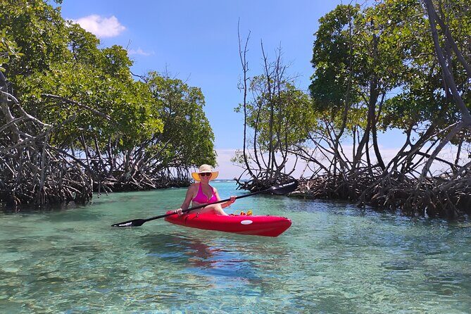 La Parguera Boat Charter with Captain: Kayak & Snorkel - A Closer Look at the Experience