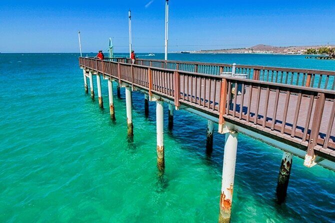 La Paz and Todos Santos Day Trip with Lunch - Authentic Experiences and Local Insights