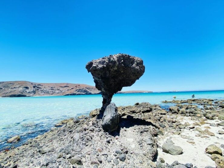 La Paz, Balandra and Todos Santos From CABO and San Jose - Activity Details