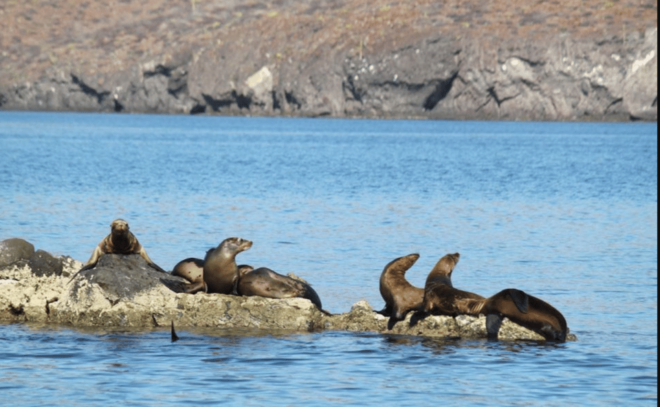 La Paz: Balandra Bay Private Boat Tour - Booking and Cancellation