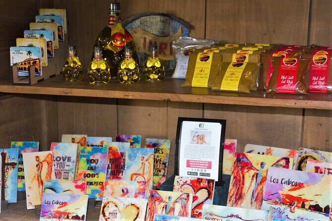 La Paz, Balandra beach and Todos Santos Tour - Final Thoughts: Who Is This Tour Perfect For?