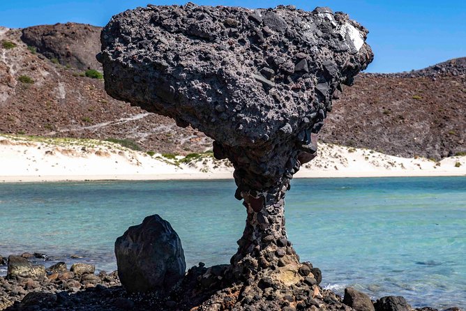 La Paz City Tour From Cabo - Cancellation Policy and Weather Considerations