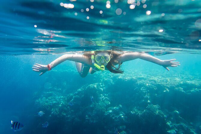 La Paz: Coral Farm Snorkel Tour - A Closer Look at the Coral Farm Snorkel Tour