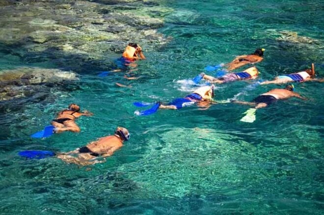 La Paz: Coral Farm Snorkel Tour - Educational Eco-tour