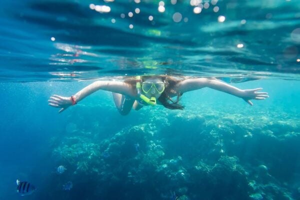 La Paz: Coral Farm Snorkel Tour - Participant Requirements