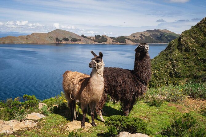 La Paz Day Tour: Tiwanacu & Lake Titicaca - Itinerary Details
