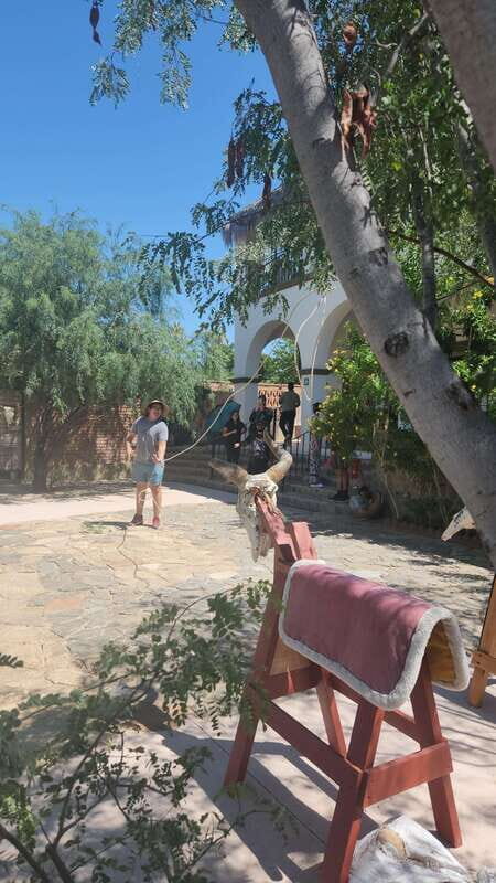 La Paz: El Triunfo Town Tour with Lunch and Transportation - Exploring Baja’s Hidden Gem: El Triunfo