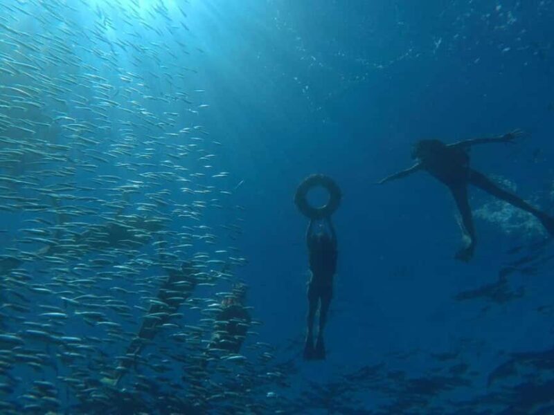 La Paz: Espíritu Santo Island Snorkeling Tour with Lunch - Practical Tips for Making the Most of Your Day