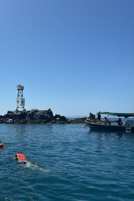 La Paz: Espiritu Santo Island Tour - Important Information