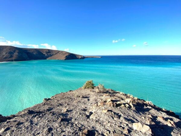 La Paz: Espiritu Santo Island Tour - Dining and Relaxation