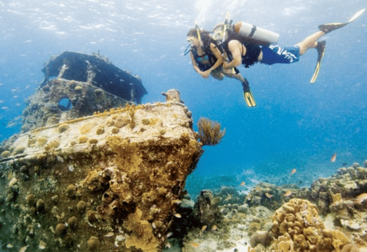 La Paz: Fang Ming Wreck Dive - Good To Know
