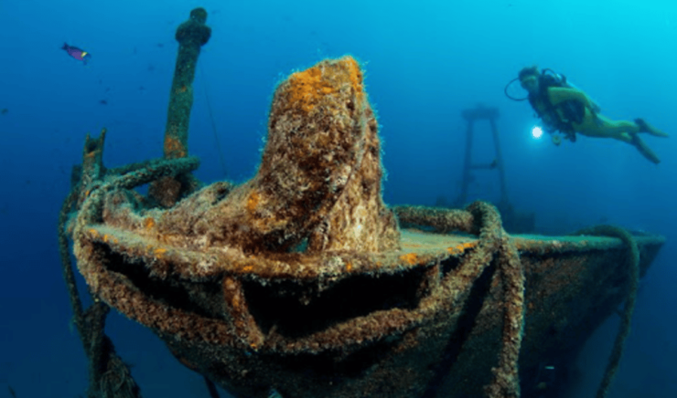 La Paz: Fang Ming Wreck Dive - Dive Experience