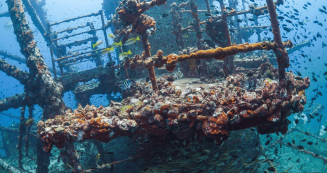 La Paz: Fang Ming Wreck Dive - Relax at Sunset Bar