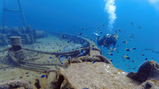 La Paz: Fang Ming Wreck Dive - Booking and Payment