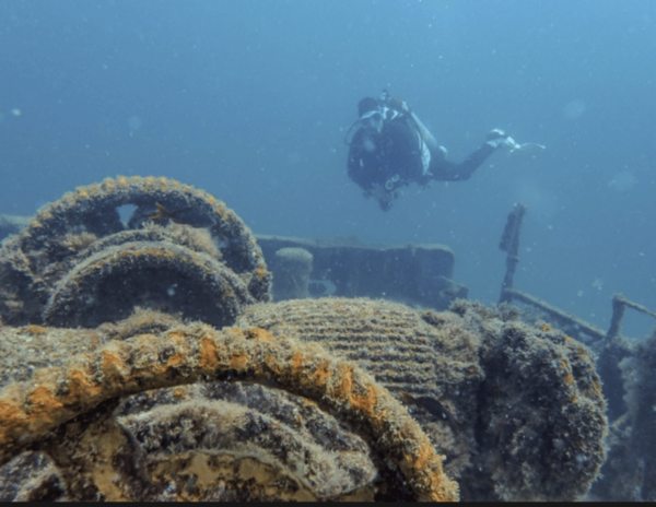 La Paz: Fang Ming Wreck Dive - Frequently Asked Questions
