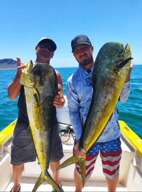 La Paz: Fishing & Hotel Packages in La Concha Resort - Good To Know