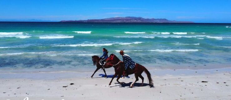 La Paz: Horseback Riding Experiences - Horse Health Prioritization