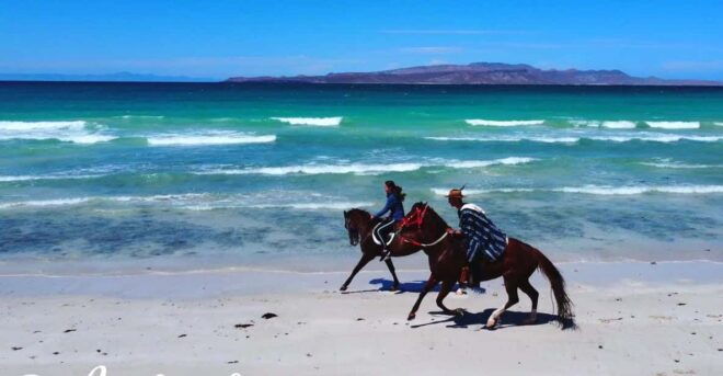 La Paz: Horseback Riding Experiences - Scenic Horseback Rides