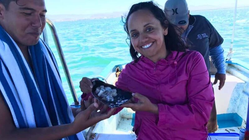 La Paz: Mangrove Adventure, Snorkeling and Shellfish Tasting - Exploring the La Paz Mangrove Adventure, Snorkeling, and Shellfish Tasting