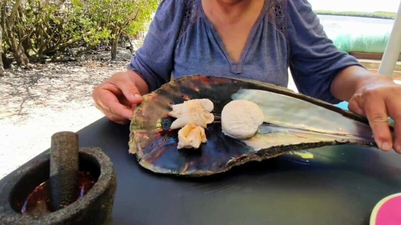 La Paz: Mangrove Adventure, Snorkeling and Shellfish Tasting - Examining the Details: What You Need to Know