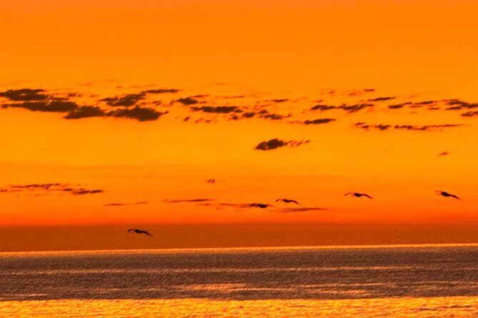 La Paz Mexico Sunset Cruise with Local Guides : small group - Final Thoughts