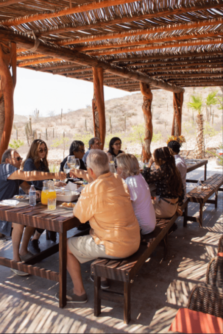 La Paz: Morning Guided Hike & Organic Breakfast - Breakfast Details