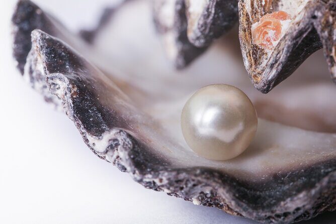 La Paz: Pearl Farm Experience and shop - Good To Know