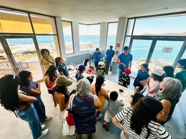 La Paz: Pearl Farm Experience and Shop - Frequently Asked Questions