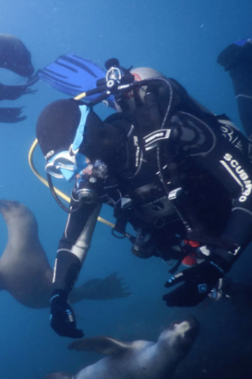 La Paz: San Rafaelito Dive Site - Booking Information