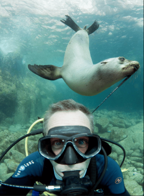 La Paz: San Rafaelito Dive Site - Marine Life Highlights