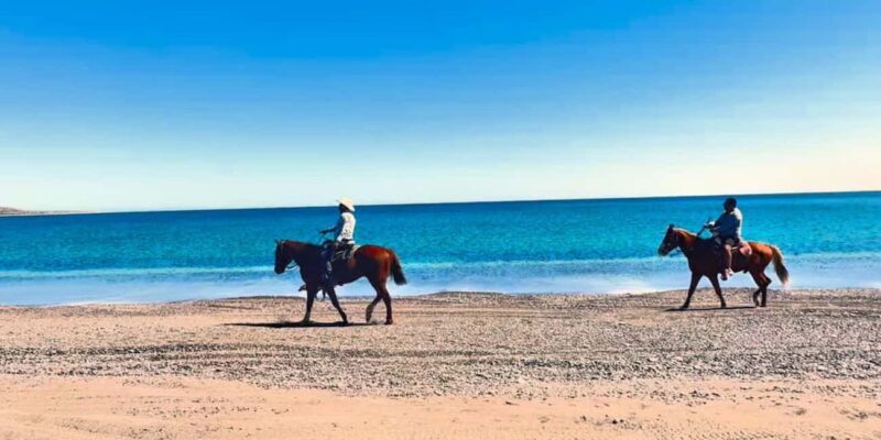 La Paz: Scenic Beach Horseback Ride with Snacks - Price and Value