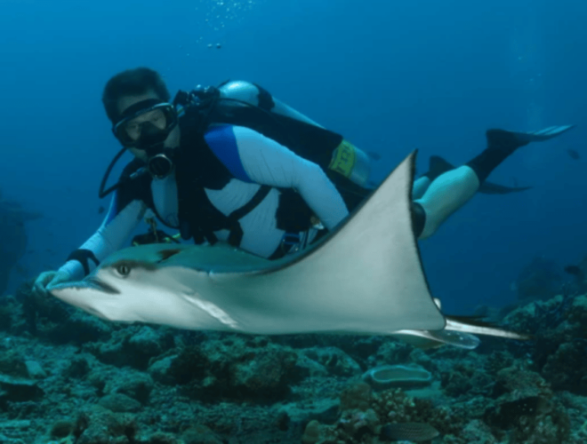 La Paz: Scuba Diving at El Bajo, Marisla Sea Mount - Dive Equipment and Add-ons