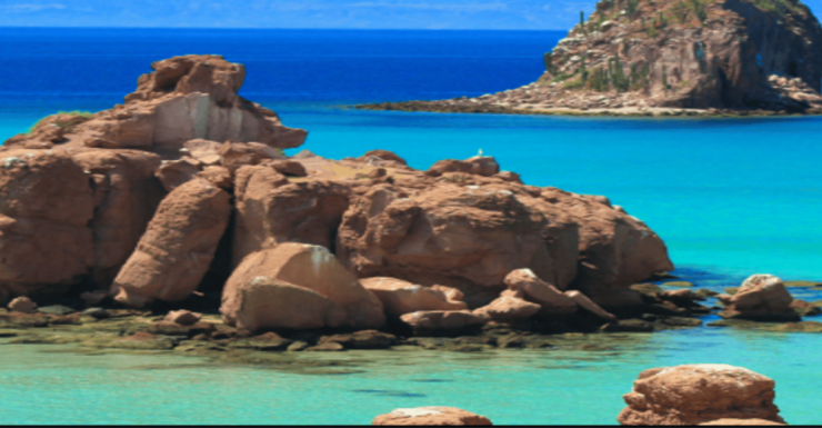 La Paz: Scuba Diving at Los Islotes - Good To Know