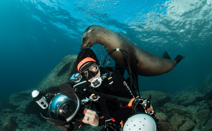 La Paz: Scuba Diving Courses - Good To Know