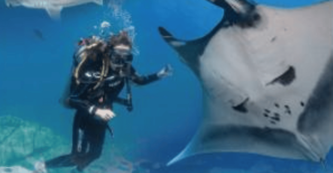 La Paz: Scuba Diving Courses - Booking and Cancellation